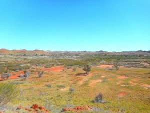 Pilbara landscape - Claire Mallard