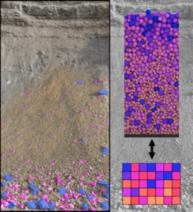 Fig 2. Segregation Models (Courtesy of Itai Einav)