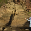 A researcher in a sun hat points at layered sedimentary rock strata in a coastal outcrop.