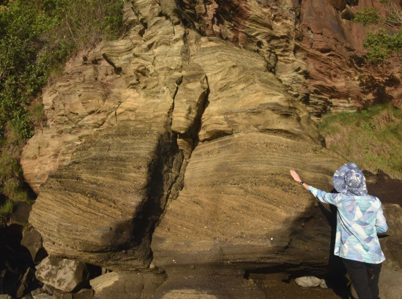 A researcher in a sun hat points at layered sedimentary rock strata in a coastal outcrop.