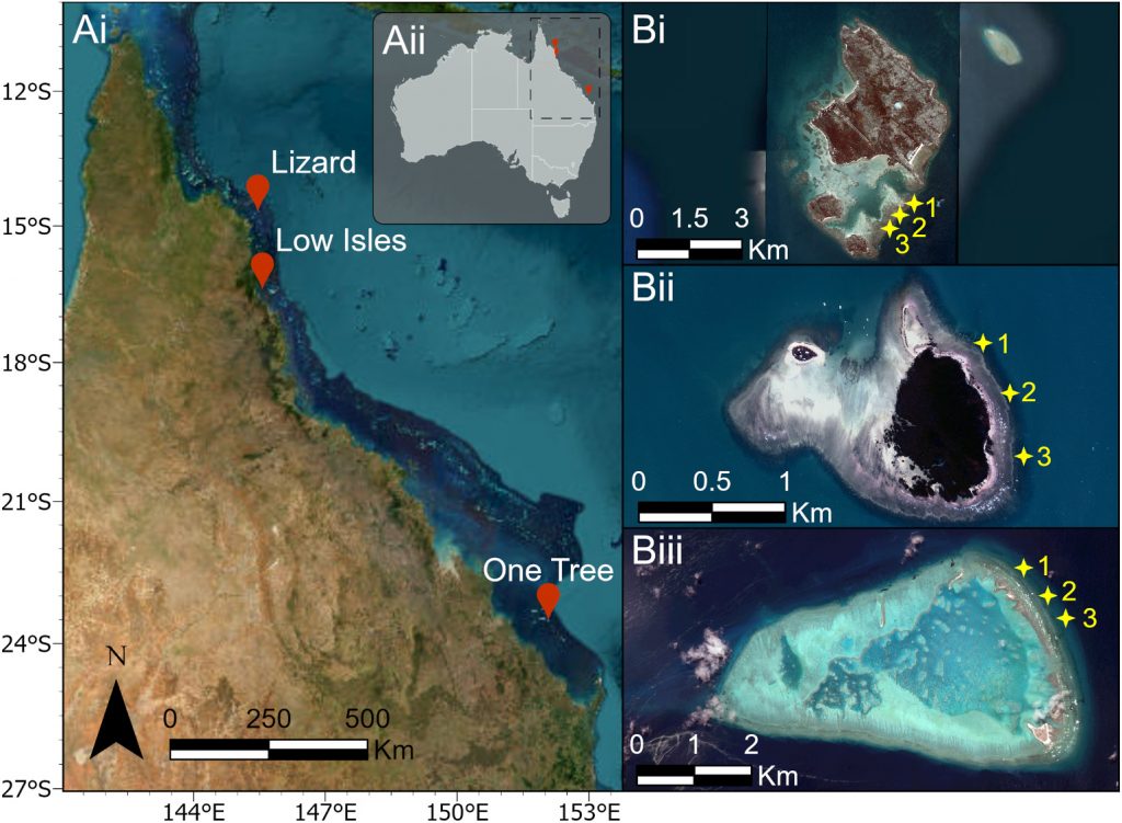 Map of Great Barrier Reef study locations with satellite images of Lizard, Low Isles and One Tree Reefs showing survey sites.