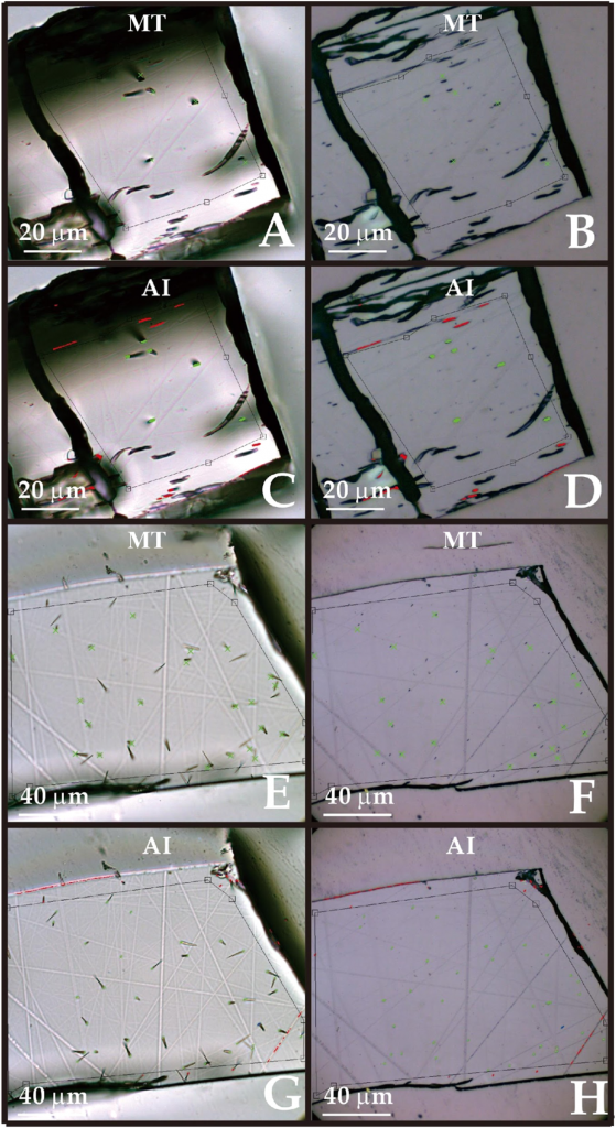 Microscope images comparing human- and AI-identified fission tracks in two apatite grains with differing counting accuracy.