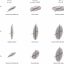 Figure 3 from Rodriguez‐Corcho et al. (2026)